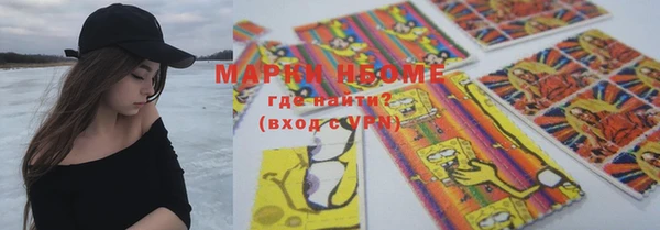СК Новозыбков