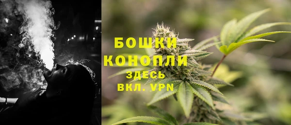 мяу мяу мука Новодвинск