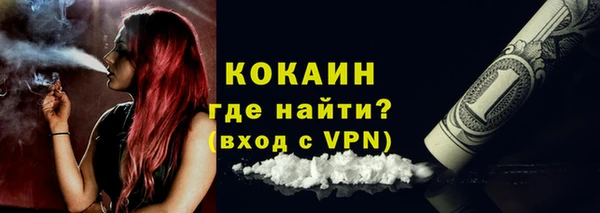 СК Новозыбков