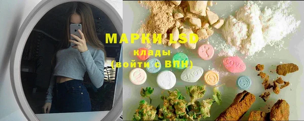 СК Новозыбков