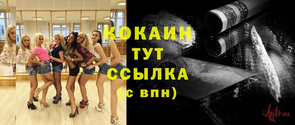 мяу мяу мука Новодвинск