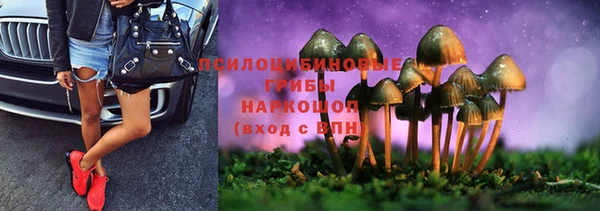 твердый Апатиты