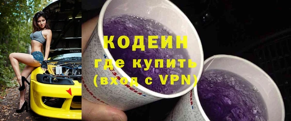 СК Новозыбков